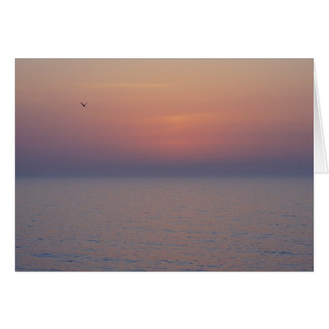 朝の休憩 (正面横)