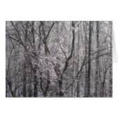 朝の光で輝く氷の森II (正面横)