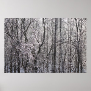 朝の光で輝く氷の森II ポスター