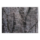 朝の光にきらめく氷の森 (正面横)