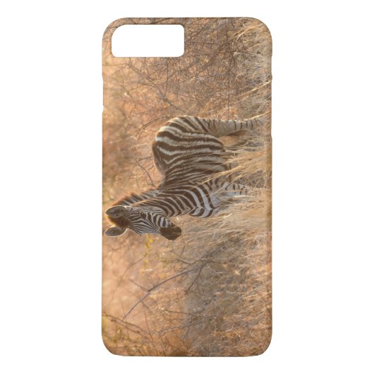 朝の光の中のゼブラの花 Case-Mate iPhoneケース (裏面)