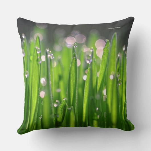 朝の光の中のビーデウィートグラス クッション (裏面)