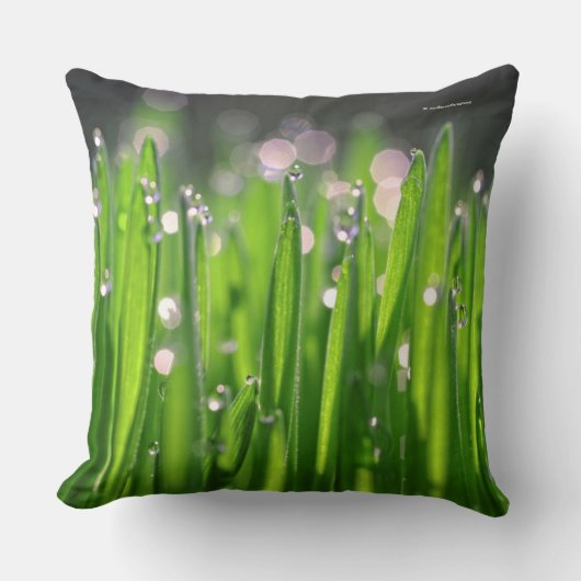 朝の光の中のビーデウィートグラス クッション (正面)