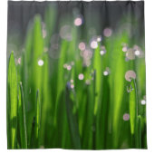 朝の光の中のビーデウィートグラス シャワーカーテン (正面)