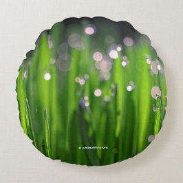 朝の光の中のビーデウィートグラス ラウンドクッション