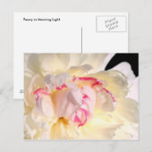 朝の光の中の牡丹 ポストカード (正面/裏面)