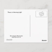 朝の光の中の牡丹 ポストカード (裏面)