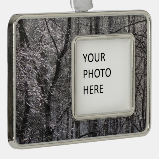 朝の光の輝く氷の森I シルバープレートフレームオーナメント (右)