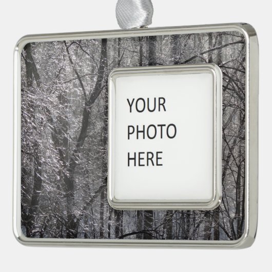 朝の光の輝く氷の森I シルバープレートフレームオーナメント (左)