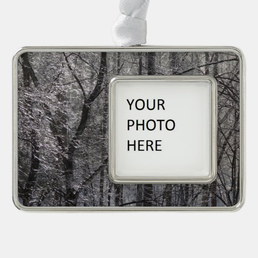 朝の光の輝く氷の森I シルバープレートフレームオーナメント (正面)