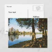 朝の光 ポストカード (正面/裏面)