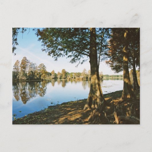 朝の光 ポストカード (正面)