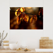 朝の太陽によってついているブラウンの葉 ポスター (キッチン)