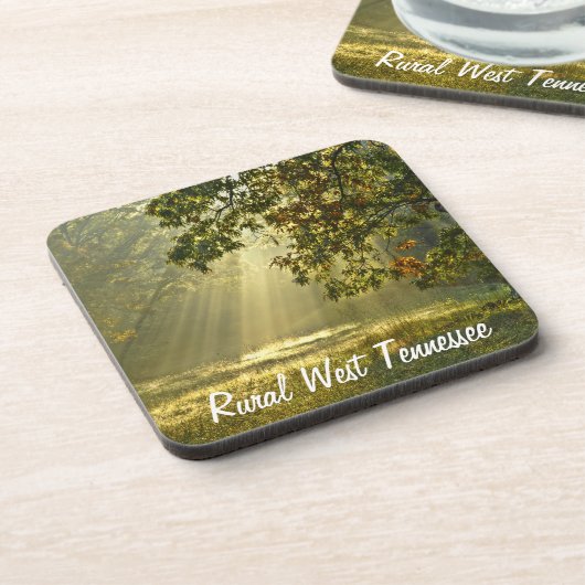 朝の太陽光線が付いているオークの木 コースター (左側)