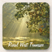 朝の太陽光線が付いているオークの木 コースター (正面)