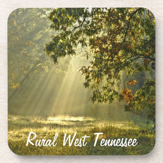 朝の太陽光線が付いているオークの木 コースター (正面)