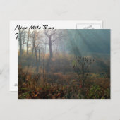 朝の太陽@沼地 ポストカード (正面/裏面)