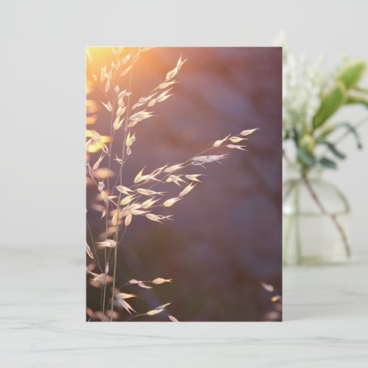 朝の小麦 サンキューカード (スタンド正面)