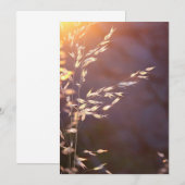 朝の小麦 サンキューカード (正面/裏面)