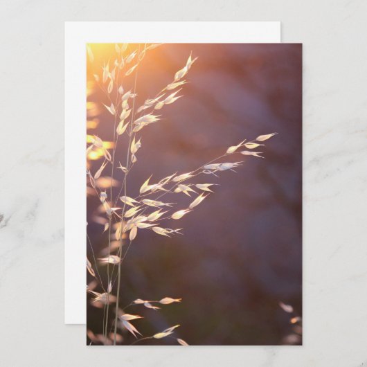 朝の小麦 サンキューカード (正面/裏面)