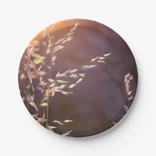 朝の小麦 ペーパープレート (正面)