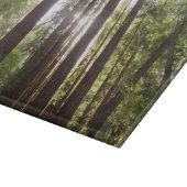 朝の巨木まで カッティングボード (角)