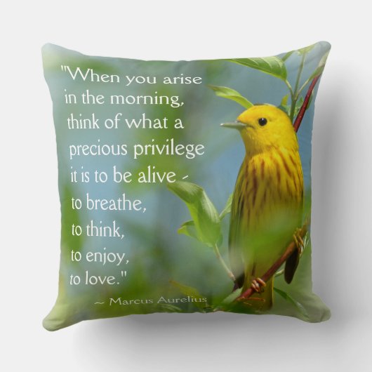 朝の引用文のキイロアメリカムシクイで起こる時 クッション (裏面)