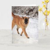 朝の散歩で犬を霜の降りた発見される カード (黄色い花)