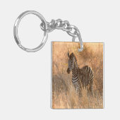 朝の日の出の写真に写るゼブラフォール キーホルダー (正面左)