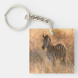 朝の日の出の写真に写るゼブラフォール キーホルダー