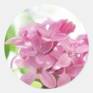 朝の日光の薄紫の花 ラウンドシール