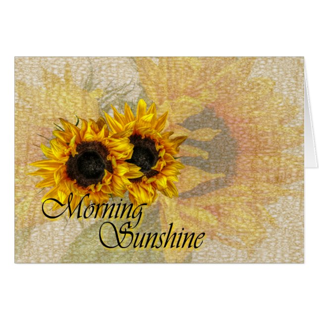 朝の日光。 (正面横)