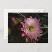 朝の日陰 ポストカード (正面/裏面)