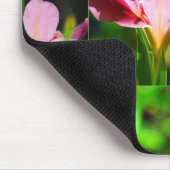 朝の暴露 マウスパッド (コーナー)