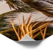 朝の曇り空の下のココナッツの木 ポスター (角)