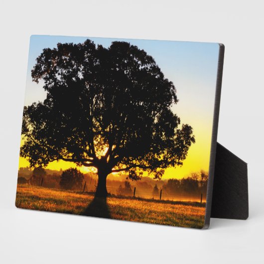 朝の木 フォトプラーク (側面)