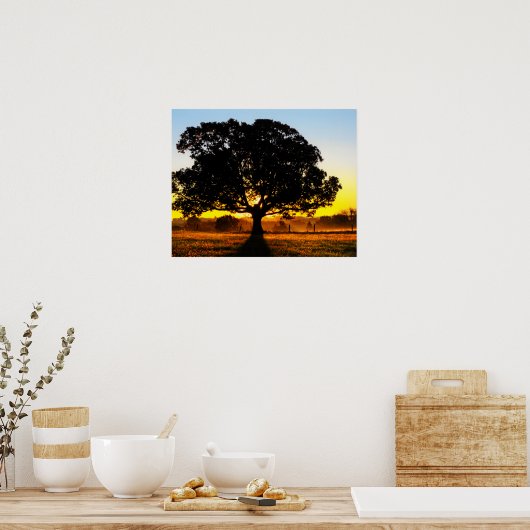 朝の木 ポスター (キッチン)