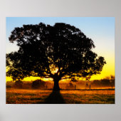 朝の木 ポスター (正面)