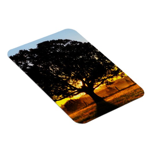 朝の木 マグネット (右側)