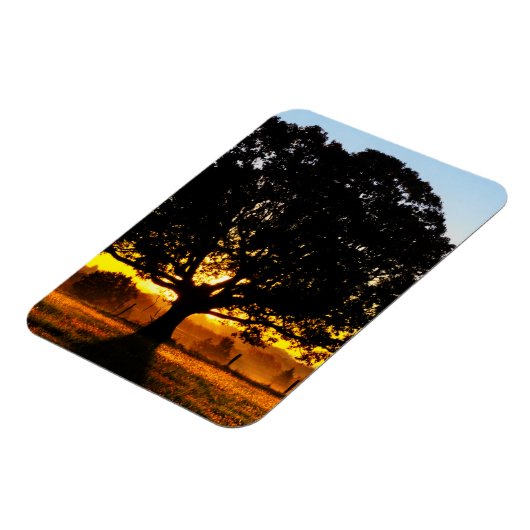 朝の木 マグネット (左側)