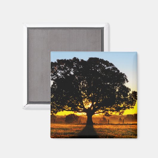 朝の木 マグネット (正面/裏面)