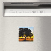 朝の木 マグネット (インサイチュ (食洗機))