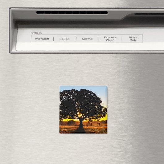 朝の木 マグネット (インサイチュ (食洗機))