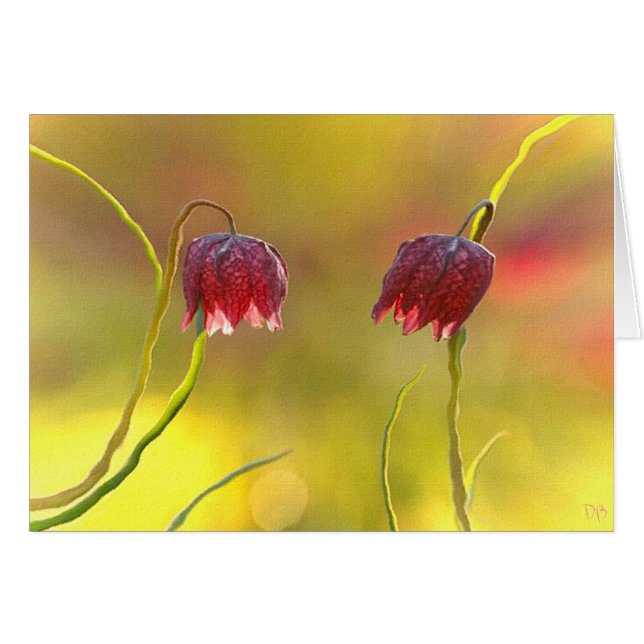 朝の歓喜 (正面横)