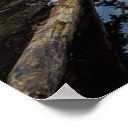 朝の気分 |エイブシー湖 ポスター (角)