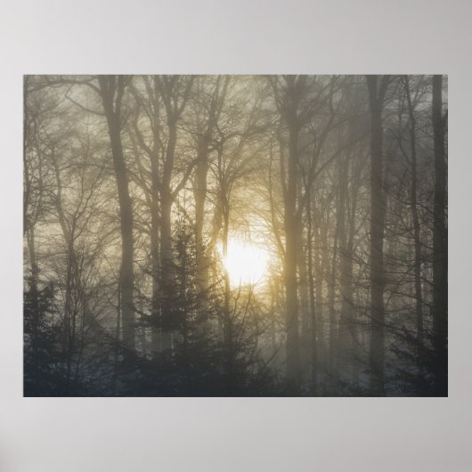 朝の気分 ポスター (正面)