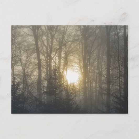 朝の気分 ポストカード (正面)