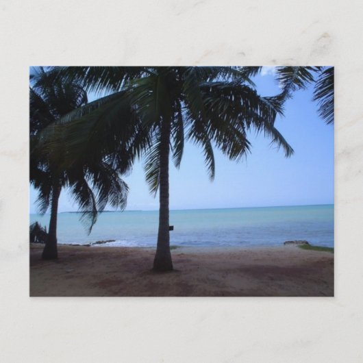 朝の海 ポストカード (正面)