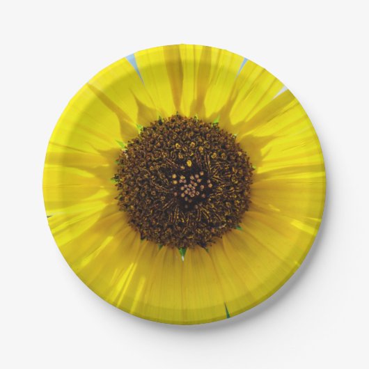 朝の炎 ペーパープレート (正面)