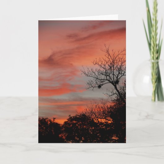 朝の空 カード (正面)